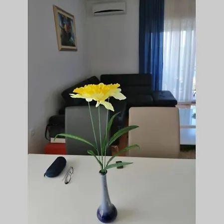 Belvedere **** Apartment Novi Vinodolski